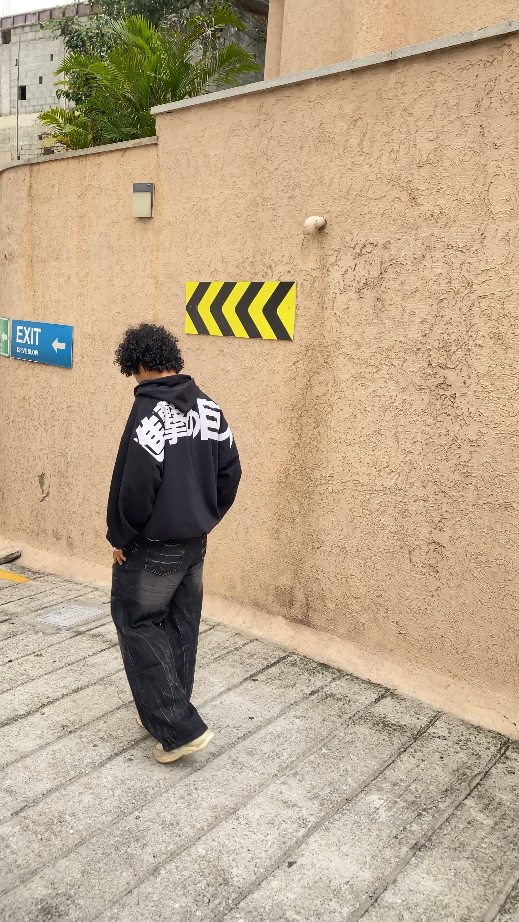 Before - Street Walk (unedited)